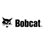 bobcat